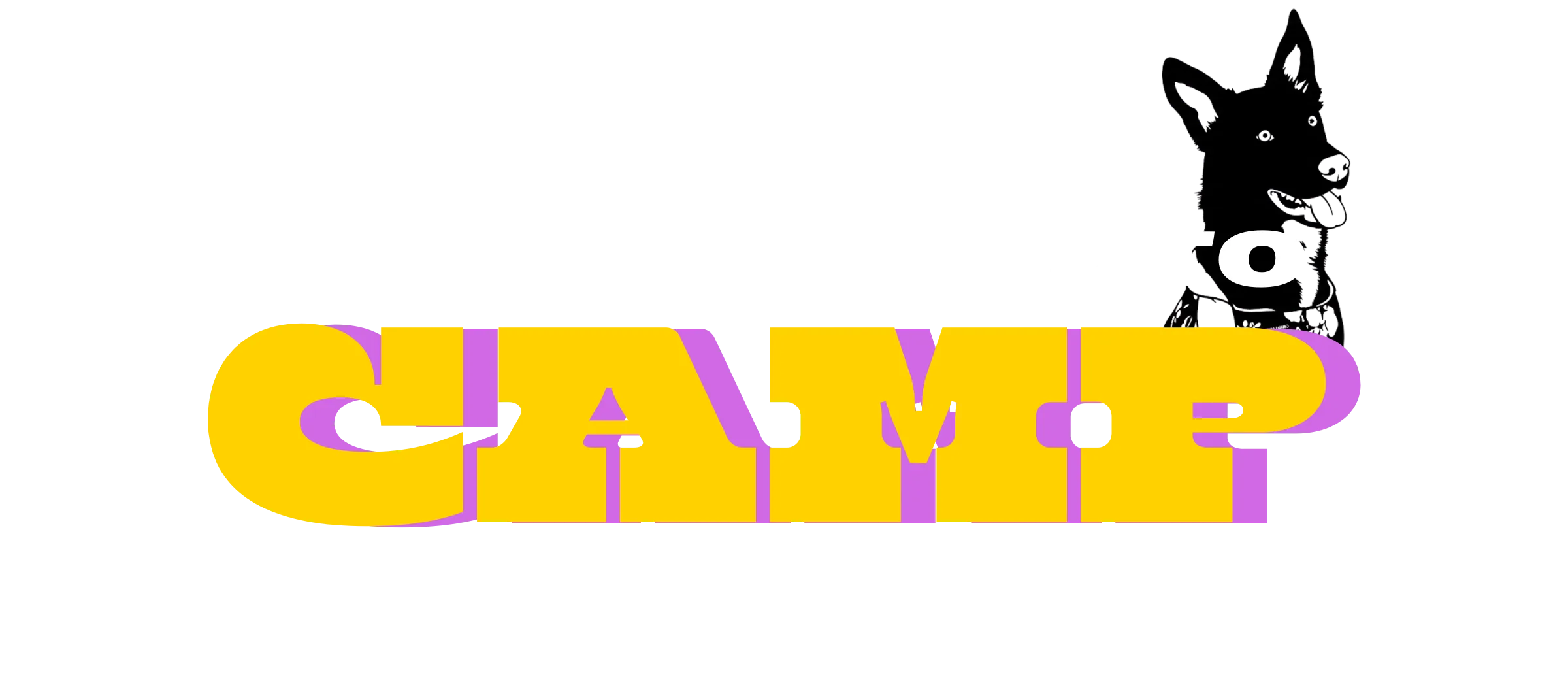 You're Invited to Camp